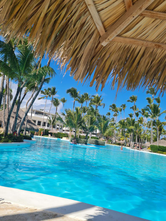 "Pool" Meliá Punta Cana Beach Resort - A Wellness Inclusive For Adults ...