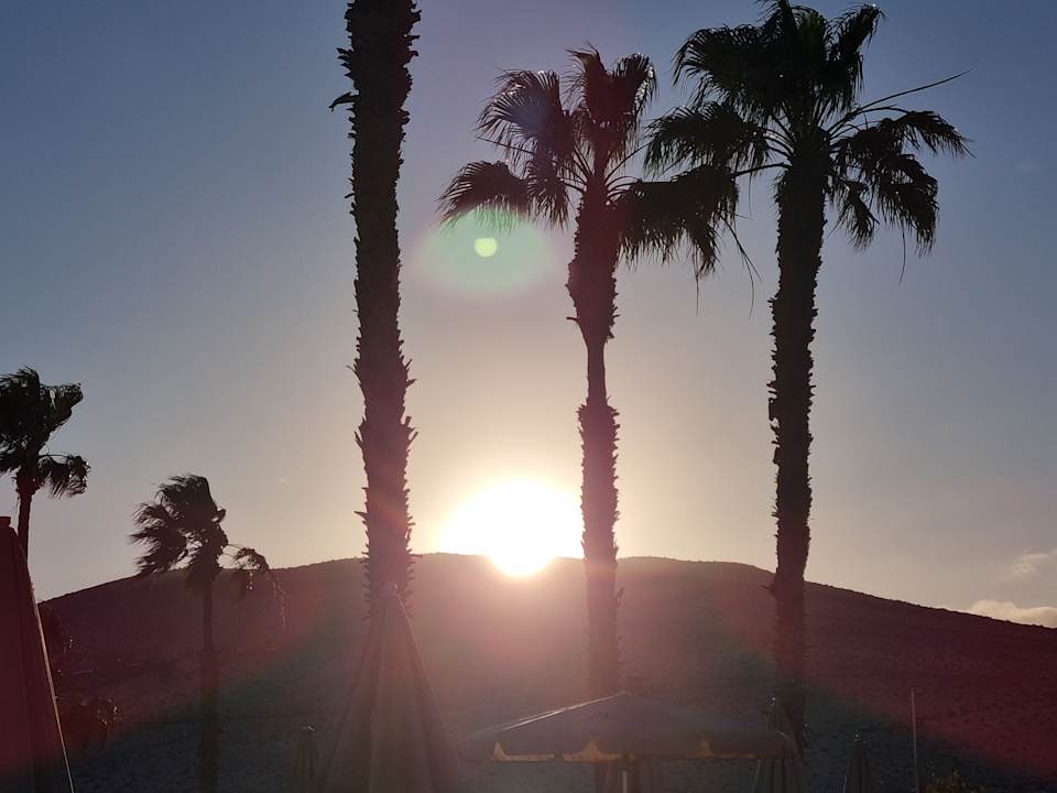 Ausblick H10 Playa Esmeralda - Adults only