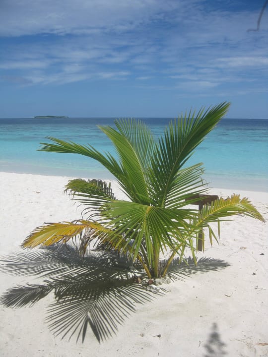 Wunderschön Adaaran Select Meedhupparu Island Resort - Premium All Inclusive