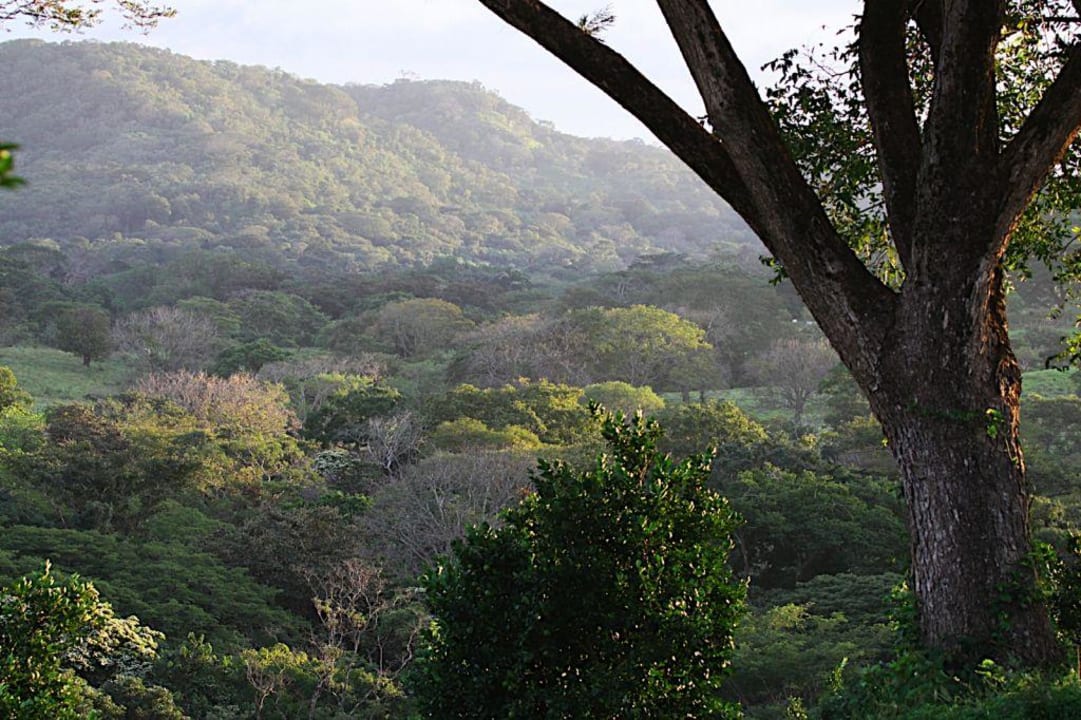 Finca canas castilla Finca Cañas Castilla