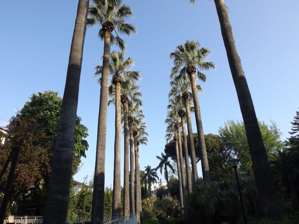 Gartenanlage Hotel La Residenza