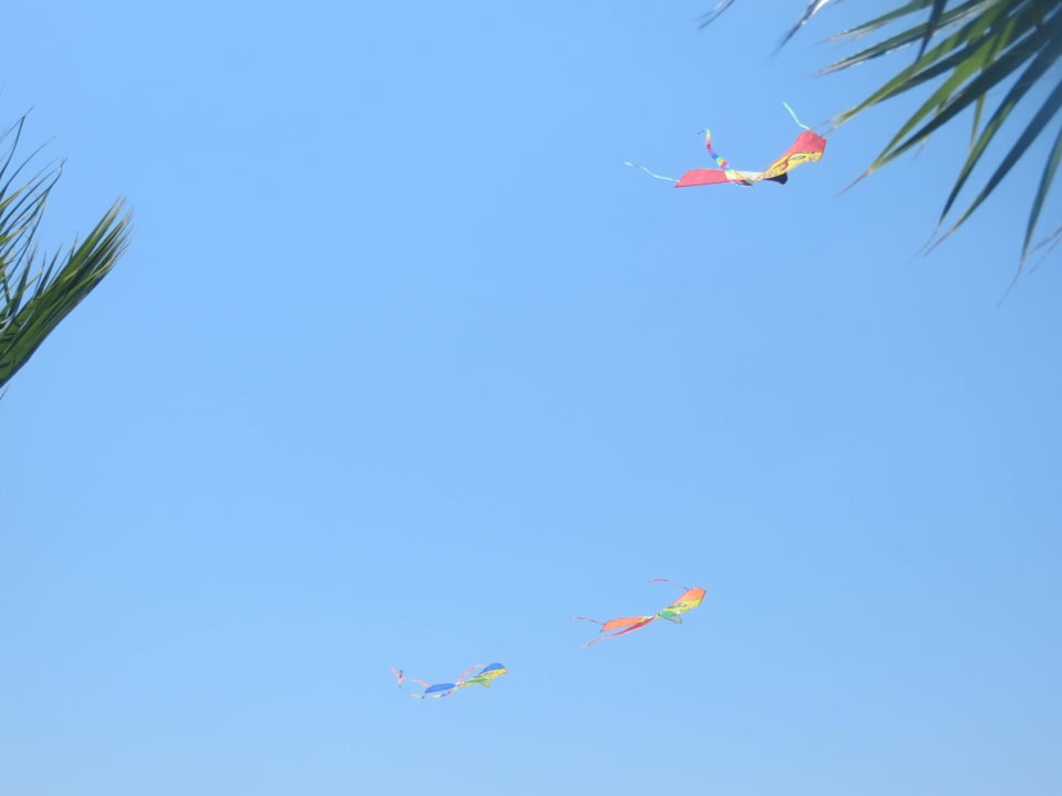 Drachen steigen lassen (Miniclub-Aktivität) Hotel Delphin Diva