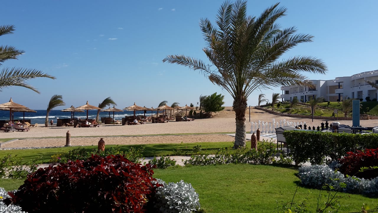 Ausblick Coral Sun Beach