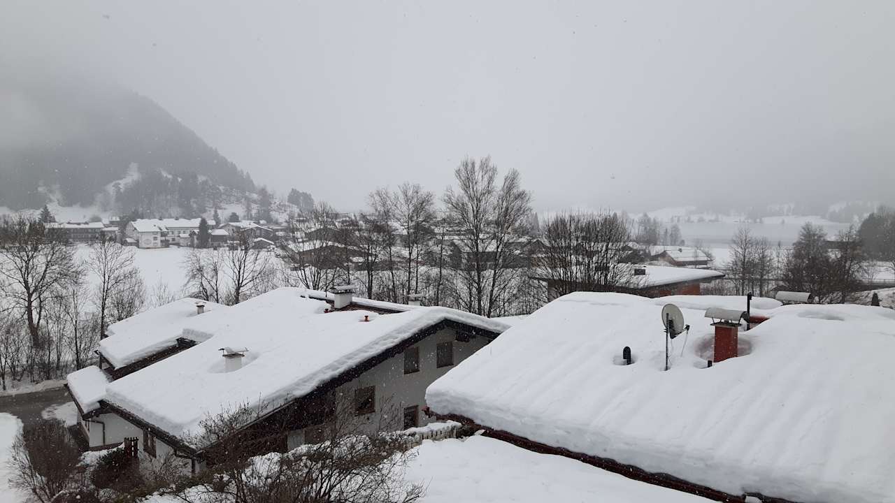 Ausblick Apart. Waldruhe