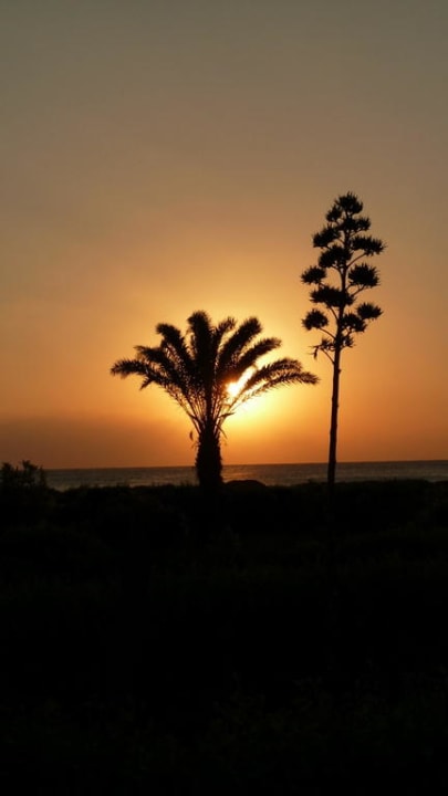 Sonnenaufgang Lahami Bay Beach Resort