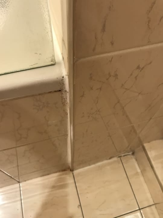 Zimmer Hotel Sofitel Lyon Bellecour