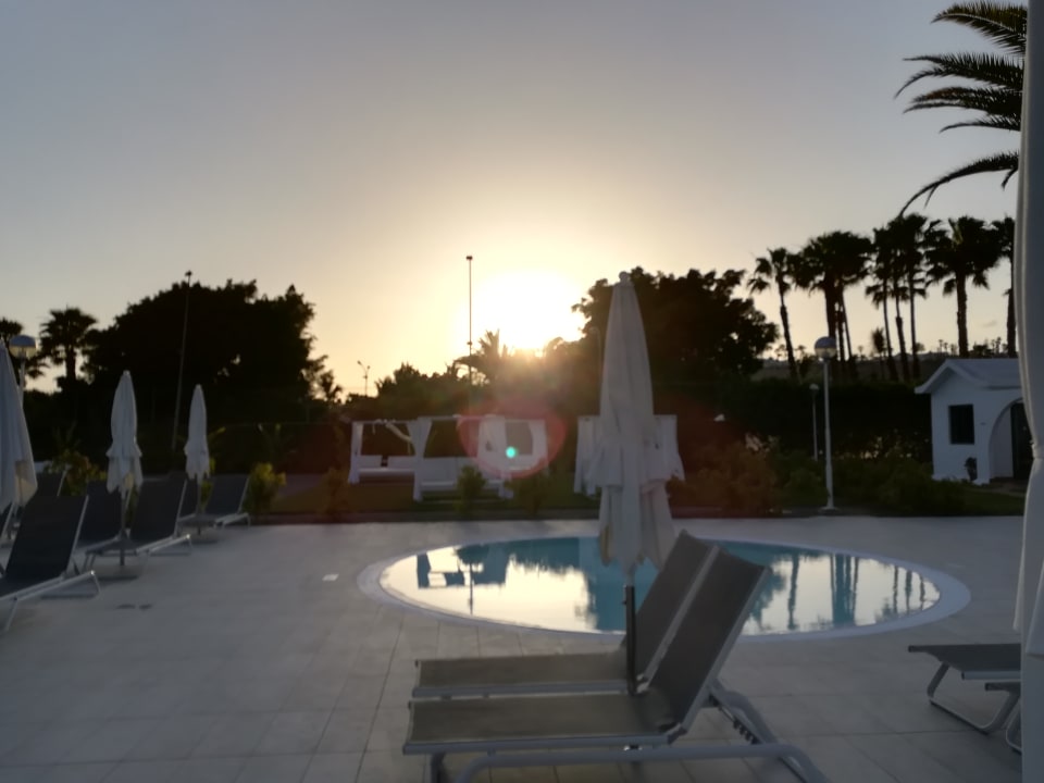 Pool Canary Garden Club