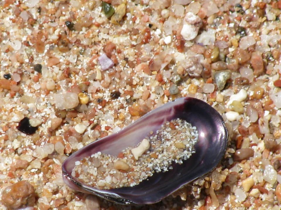 Plaza Palmyra Amar El Zaman Aqua Park