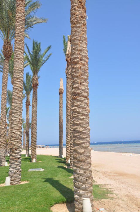 Palacestrand Makadi Palace