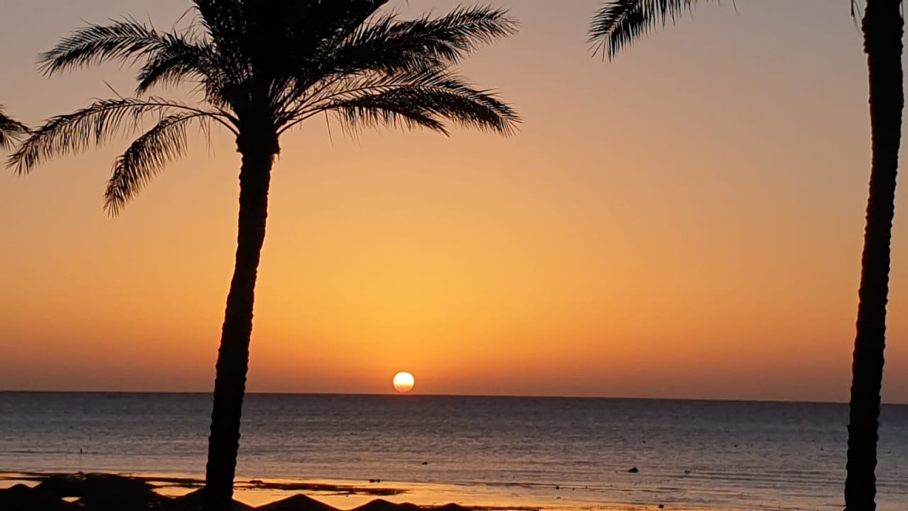 Außenansicht Makadi Spa - Adults only