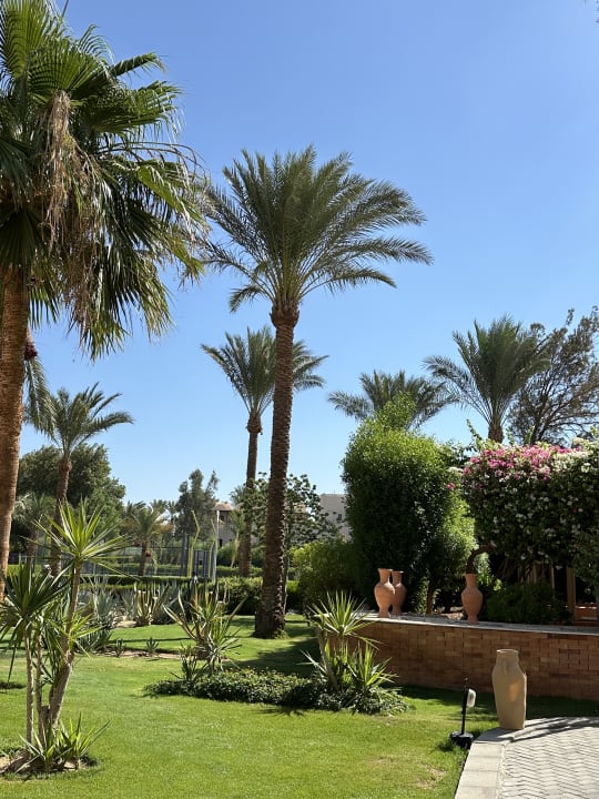 Gartenanlage Jaz Makadi Oasis Resort