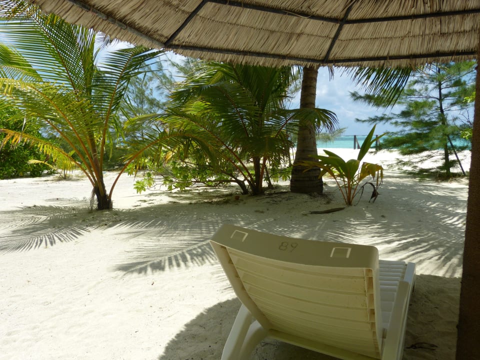 Strand Bungalow 89 Summer Island Maldives