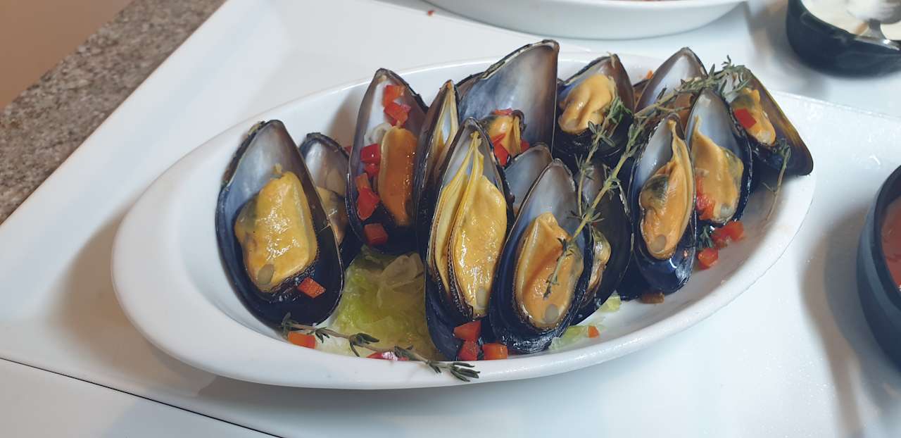 Gastro JAZ Elite Asteria