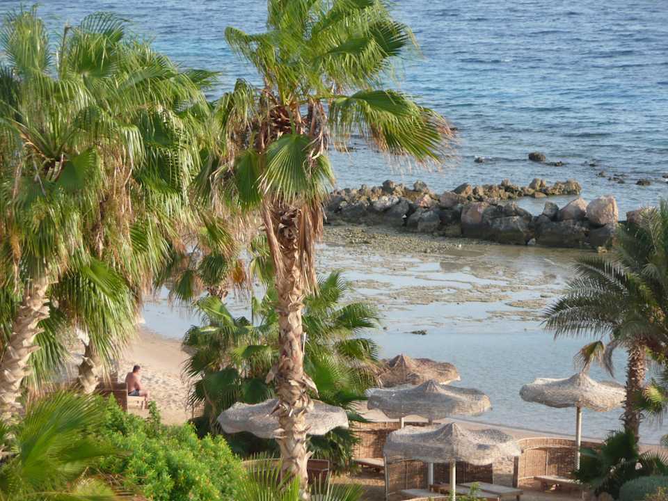 Strand Pickalbatros Citadel Resort