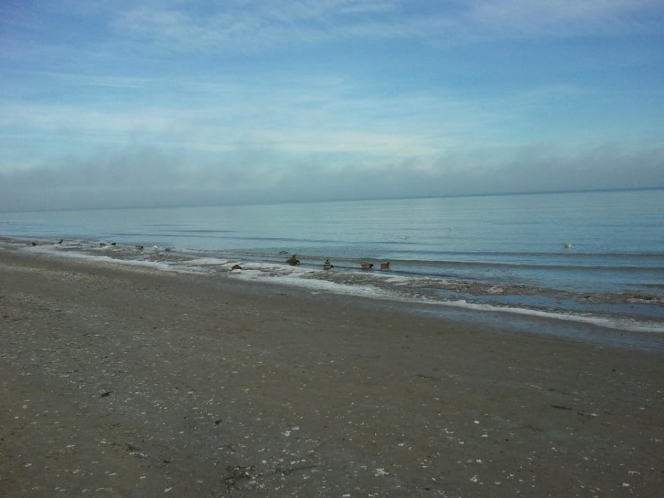 Blick auf den Strand IFA Rügen Hotel & Ferienpark