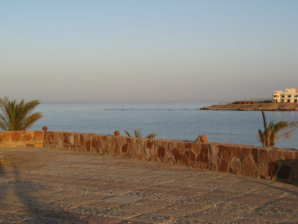 Ausblick vom Zimmer Hotel Coral Garden