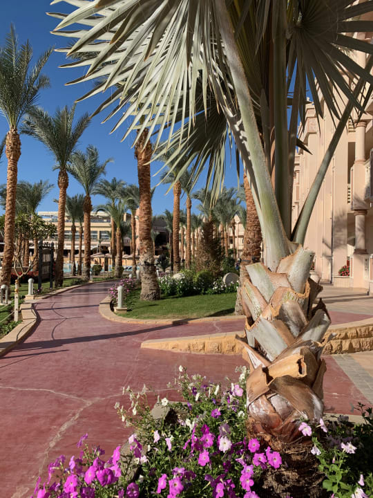 Gartenanlage Pickalbatros Palace Resort