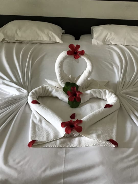 Immer liebevoll dekoriert Hotel El Mouradi Djerba Menzel