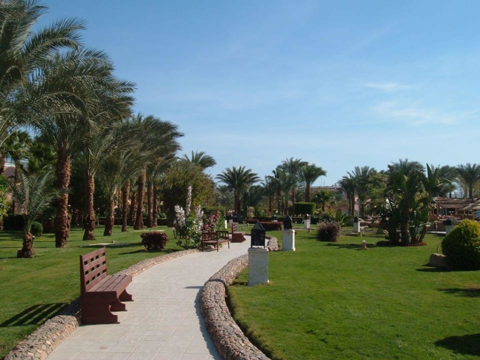 Hotel-Park Beach Albatros Resort