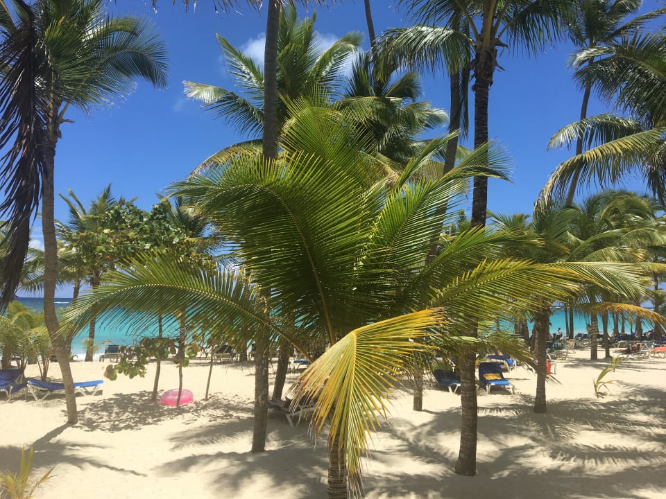 Strand Hotel Riu Palace Punta Cana
