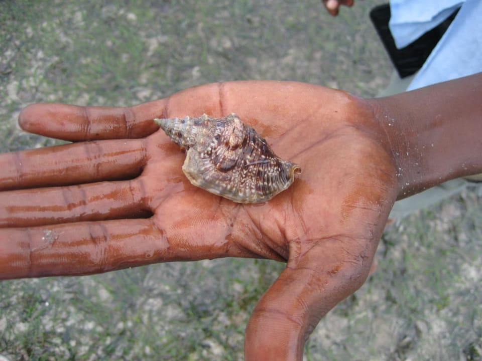 Hotel Bahari Beach Club Bahari Beach Hotel