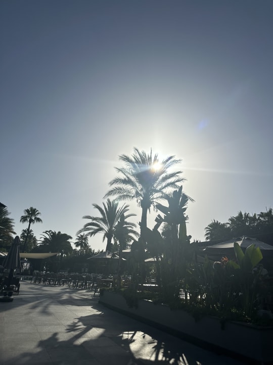Ausblick Hotel Miramare Beach