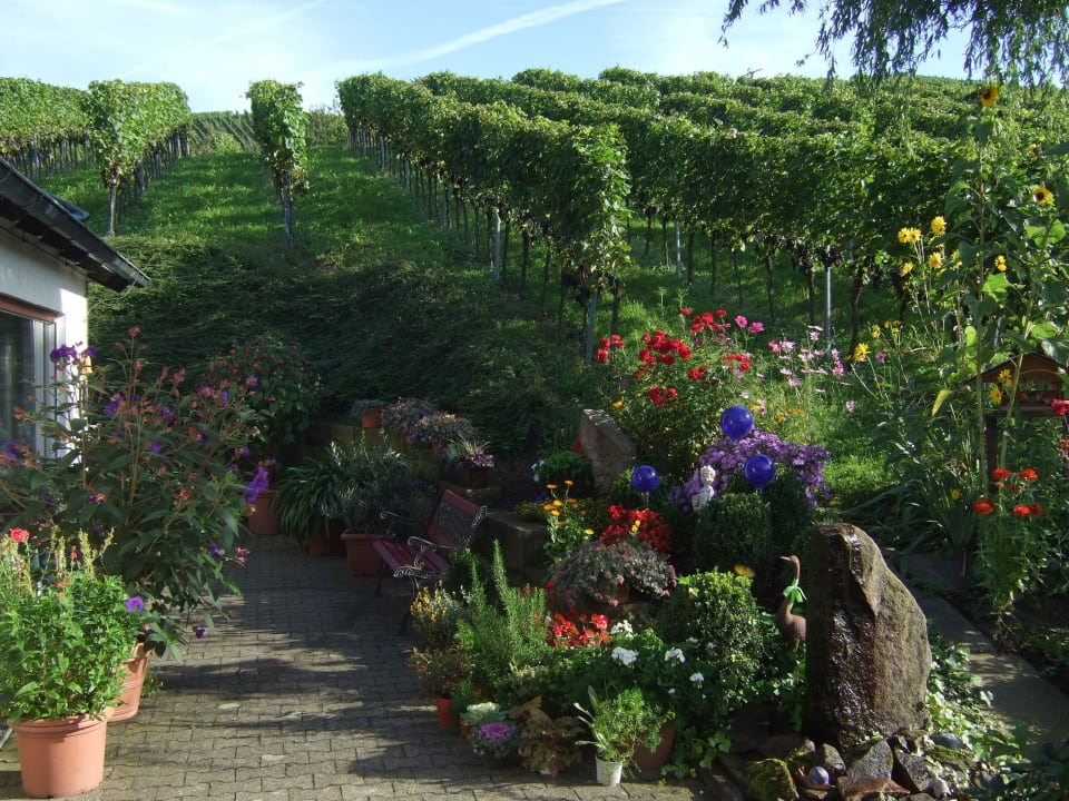 Garten Pension am Weinberg