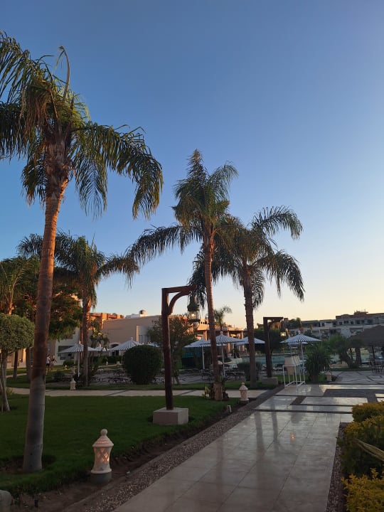 Gartenanlage Iberotel Casa Del Mar Resort