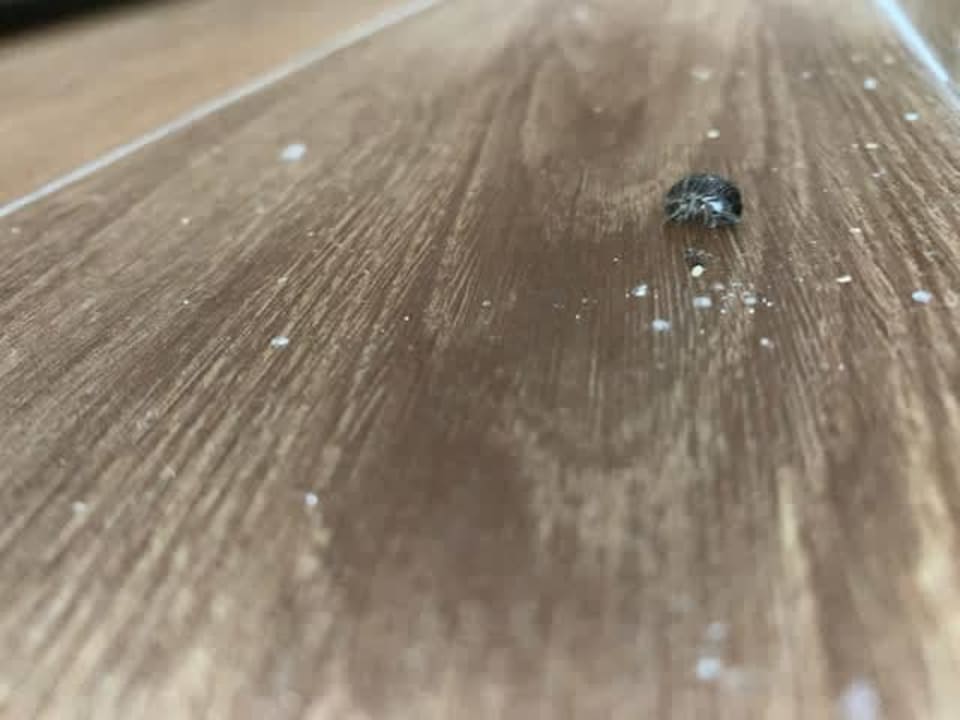 Zimmer Girandella Resort Valamar Collection