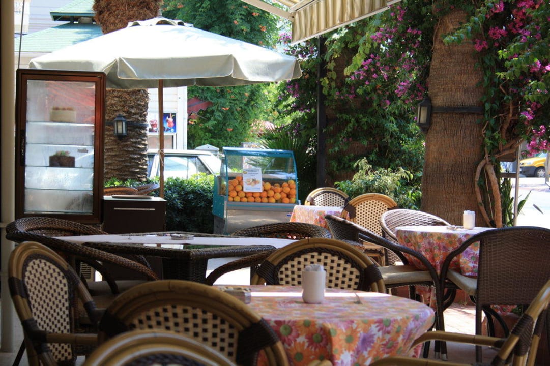 Direkt vorm Hotel Gardenia Hotel