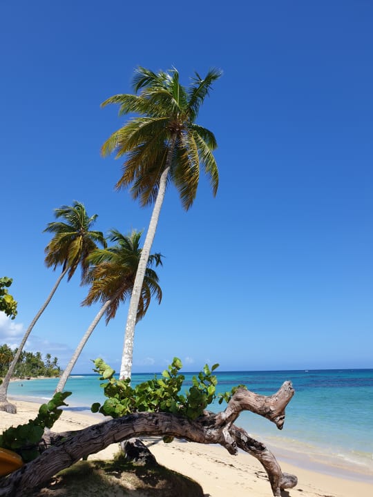 Strand Bahia Principe Grand El Portillo