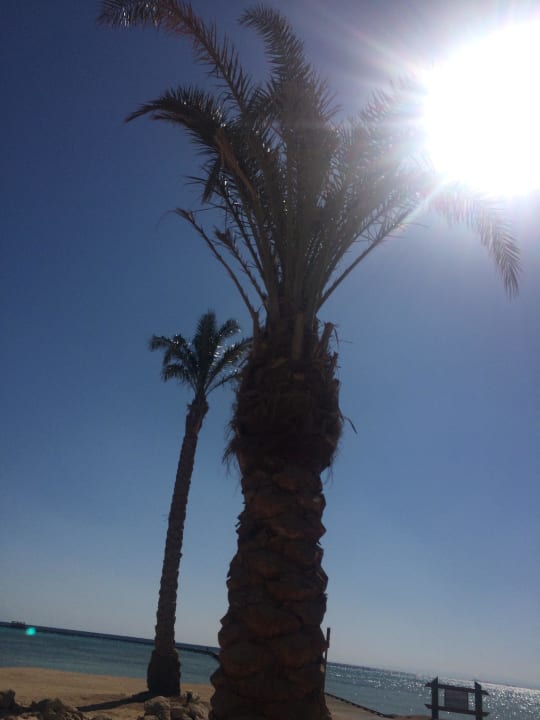 Sonne! The Breakers Diving & Surfing Lodge