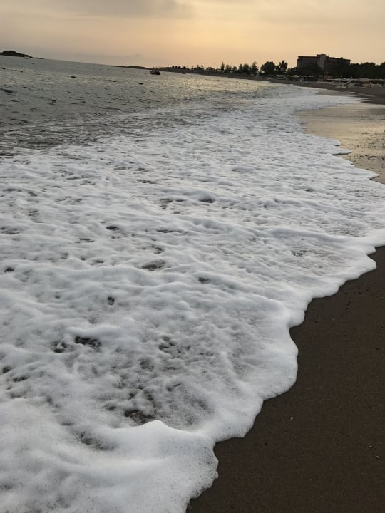 Strand Arycanda Kirman Premium