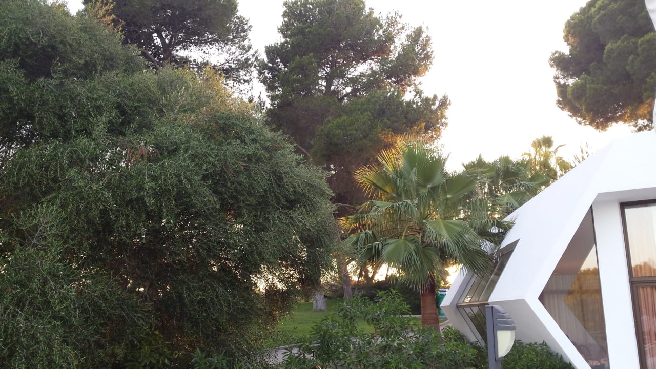 Garten Hotel Exagon Park