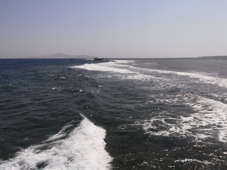 Strand Pickalbatros Royal Moderna Resort-Sharm El Sheikh