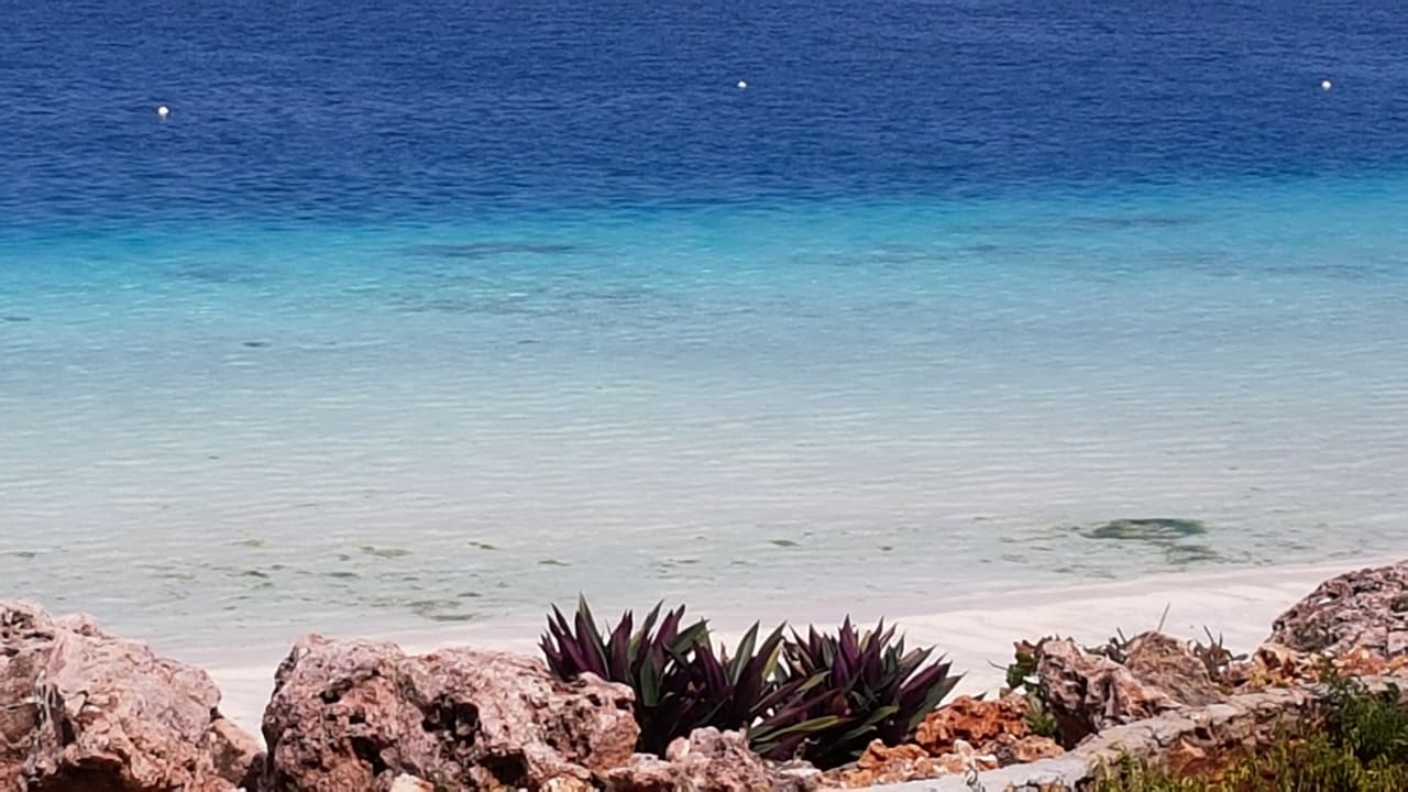 Ausblick Royal Zanzibar Beach Resort