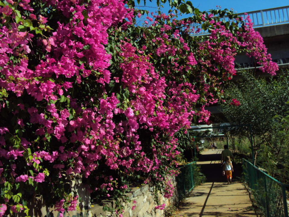 Weg zum Strand My Home Resort