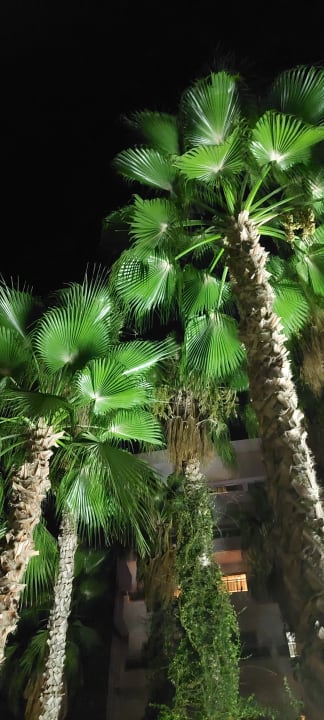Außenansicht Hotel Gardenia Beach