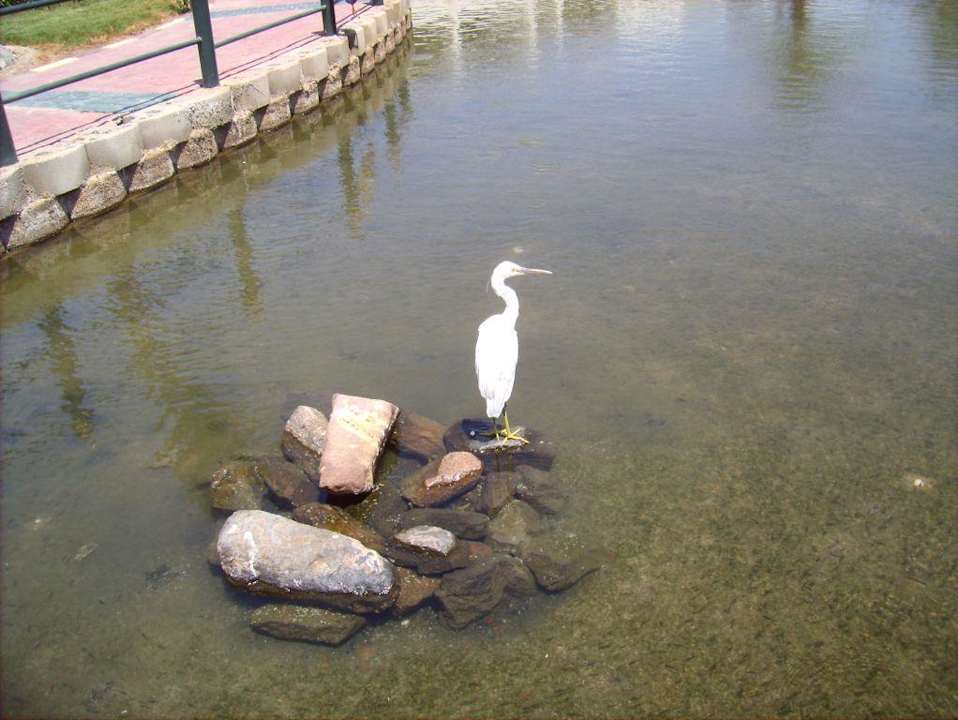 Lagune Pickalbatros Dana Beach Resort - Hurghada