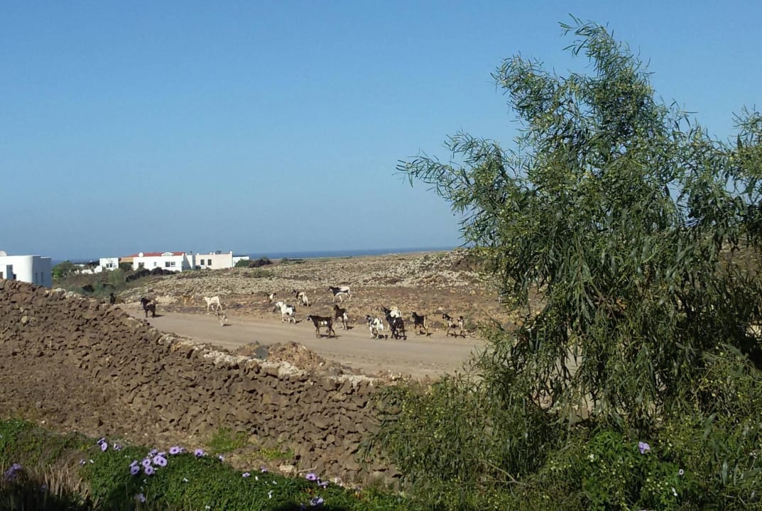 Richtung Meer Gästehaus Casa Ina