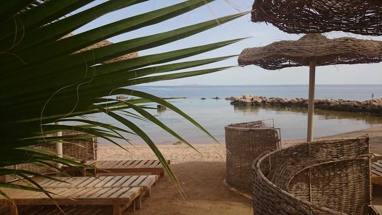 Пляж у лагуны Pickalbatros Citadel Resort