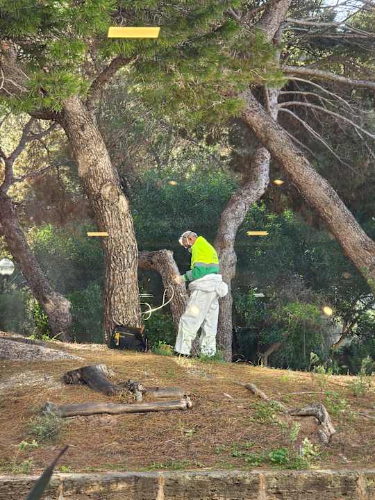 Außenansicht Grupotel Acapulco Playa - Adults Only