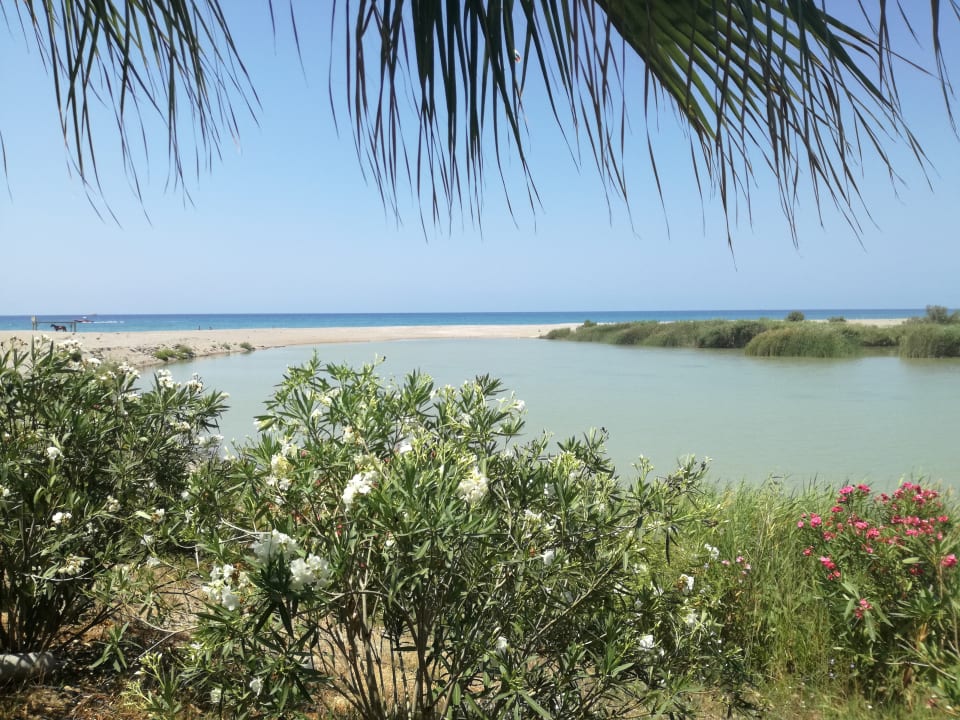 Ausblick Sunmelia Beach Resort