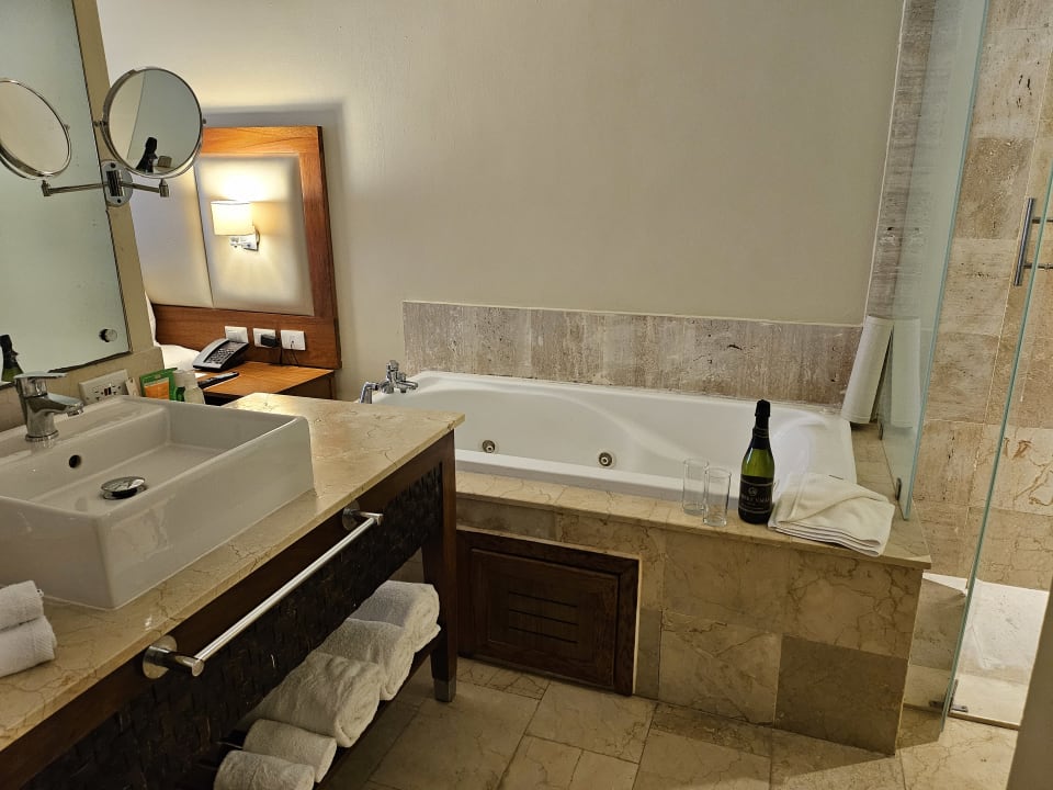 Zimmer Sunscape Dominicus La Romana