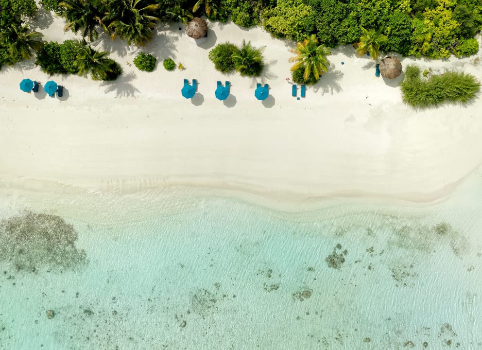 Strand Canareef Resort Maldives
