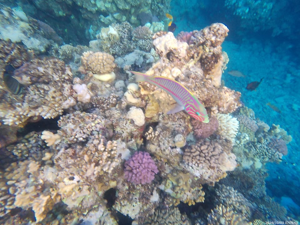 Strand Three Corners Sea Beach Resort