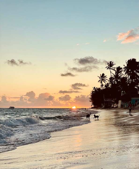 Strand TRS Turquesa Hotel - Adults only