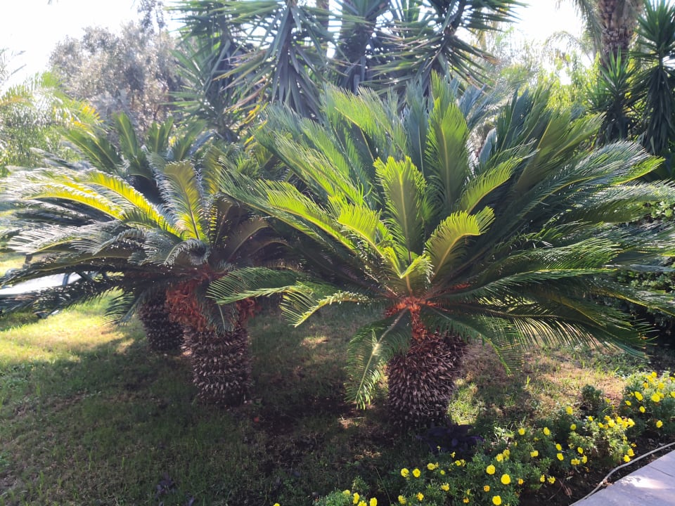 Gartenanlage Sunis Kumköy Beach Resort Hotel & Spa