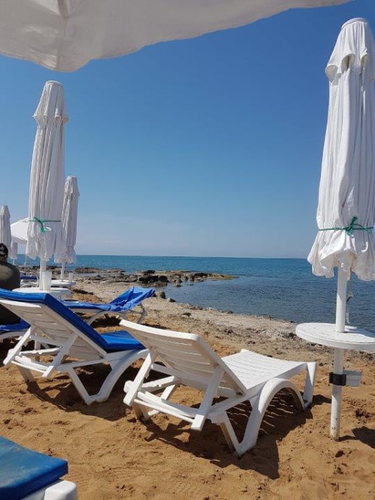 Strand Can Garden Beach