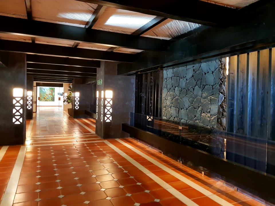 Sonstiges Dreams Jardín Tropical